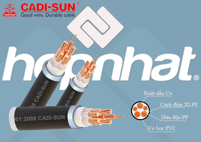 Cáp đồng 5 ruột bọc cách điện XLPE/PVC_CXV 3x10+2x6, Cáp đồng Cadisun 3x10+2x6